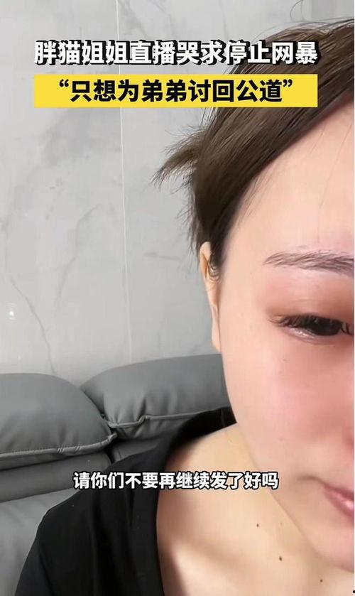 最新博主爆料胖猫视频,萌态可掬引网友热议